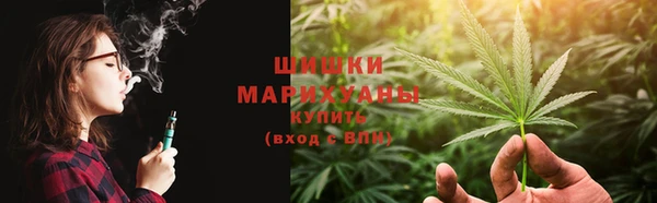 амф Арсеньев